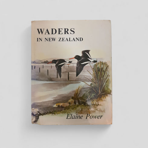 Waders in New Zealand by Elaine Power